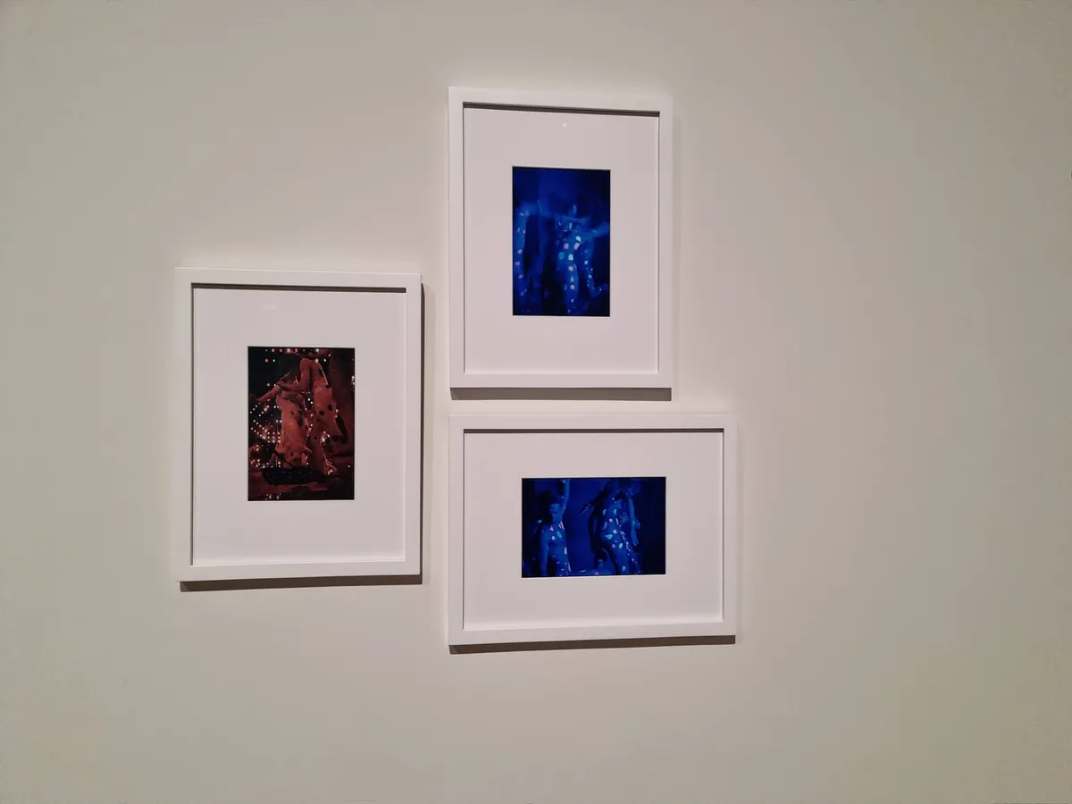 Yayoi Kusama Gallery Image 53